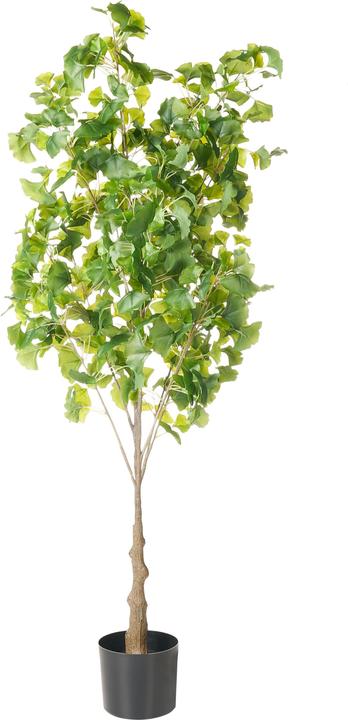 Immagine prodotto Beliani Ginkgo Tree (150 cm)