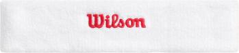 Actual product image Wilson Terry Logo