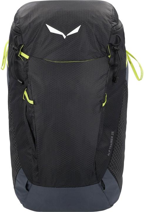 Actual product image Salewa Alp Trainer (25 l)
