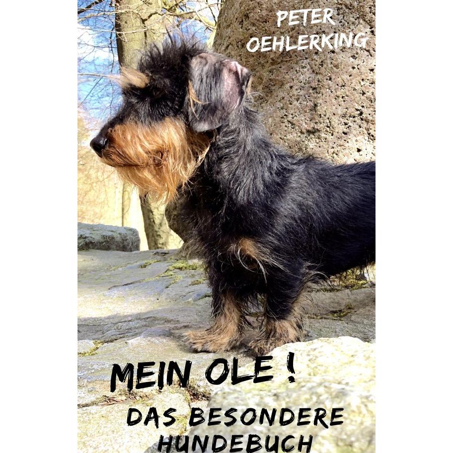 Oehlerking:Mein Ole, Belletristik von Peter Oehlerking