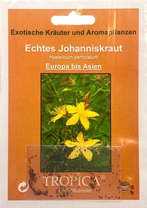 Produktbild Tropica Echtes Johanniskraut (Hypericum perforatum) (Blumensamen)