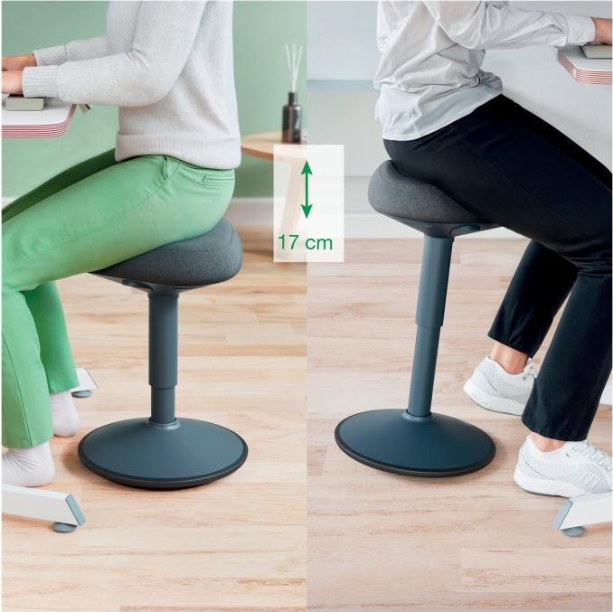 Actual product image Leitz Ergo Active