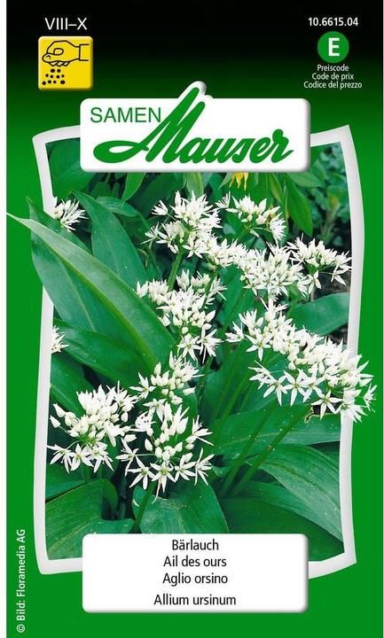 Produktbild Samen Mauser Bärlauch (Pflanzensamen)