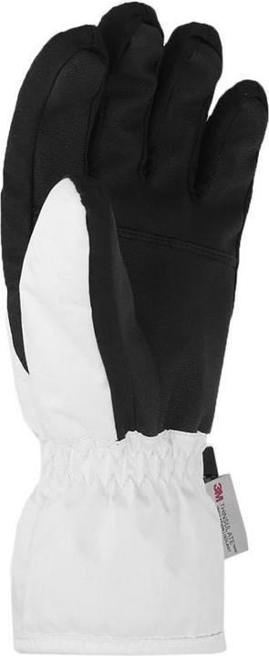 Image du produit 4F Skihandschuhe (XL)