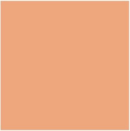 Image du produit MAC Cosmetics Studio Fix 24-Hour Smooth Wear Concealer (N° NC44)