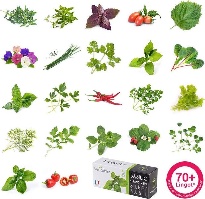 Image du produit Véritable Lingot Fraise des bois rouge BIO (Graines de fruits)