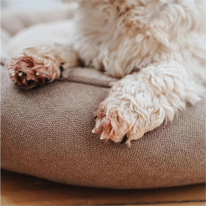 Image du produit Hunter Rockford (Chien)