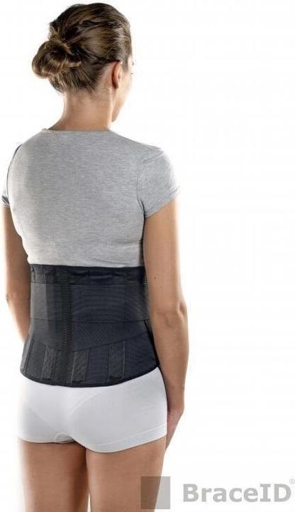 Produktbild BraceID Contoured Back Support (M)