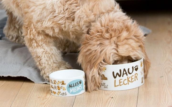 Image du produit Gilde Bol d'alimentation