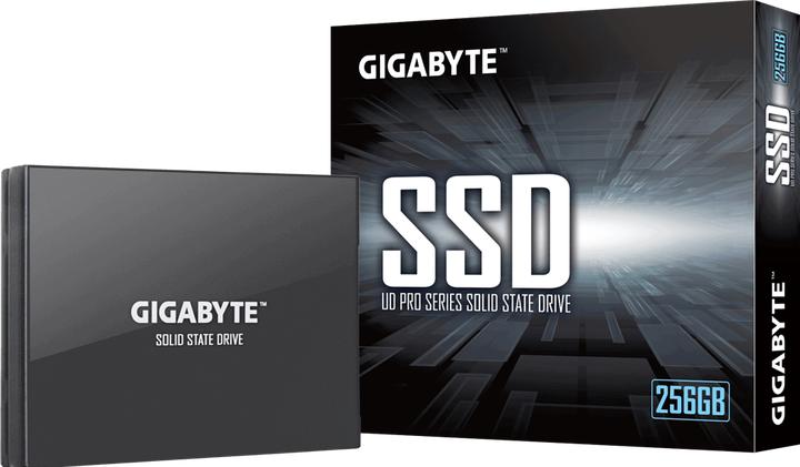 Produktbild Gigabyte GP-GSTFS30256GTTD (256 GB, 2.5")