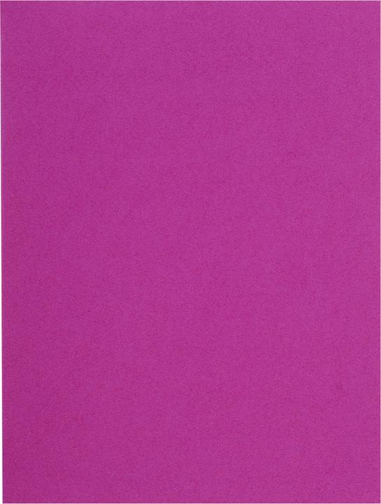 Produktbild Exacompta Sammelmappen - Aktendeckel (A4, 100 x)