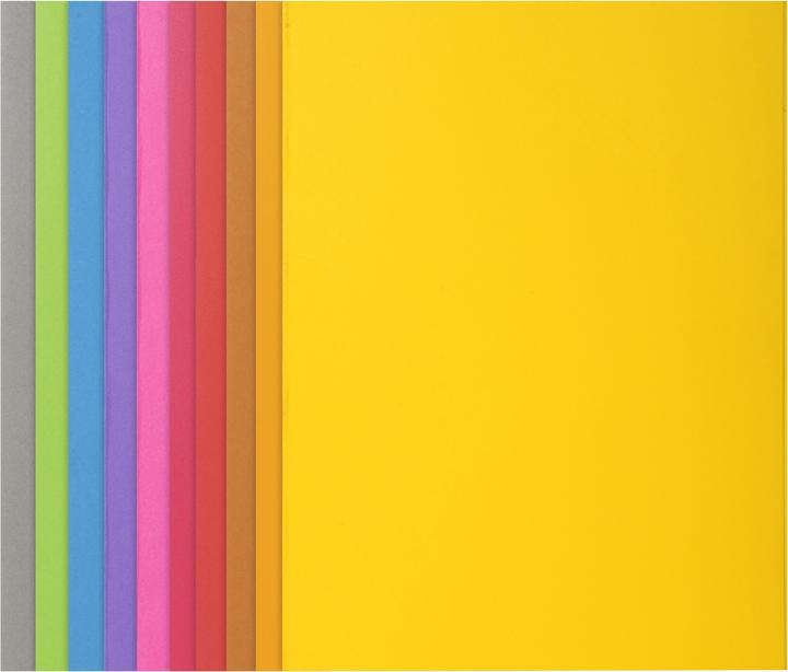 Immagine prodotto Exacompta Scrapbook - Copertine di file (A4, 100x)