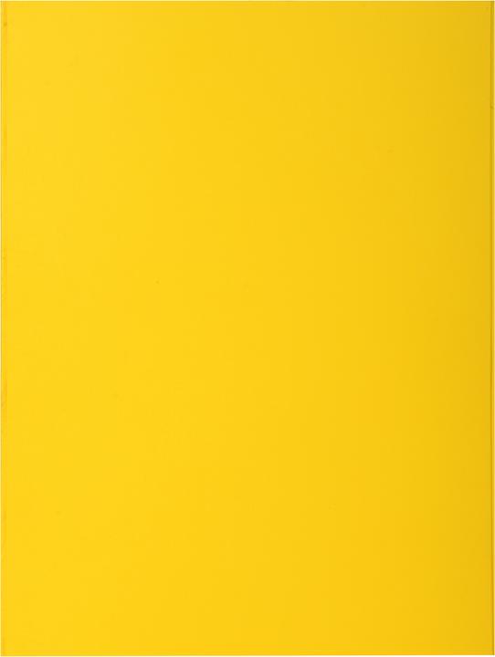 Immagine prodotto Exacompta Scrapbook - Copertine di file (A4, 100 x)