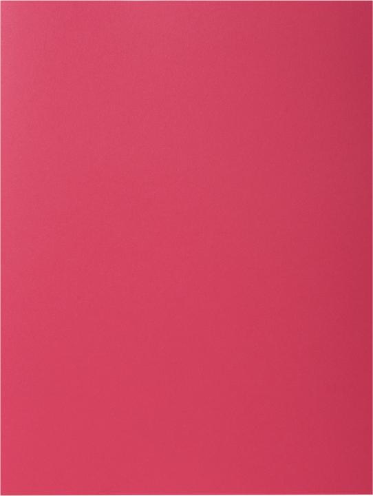 Actual product image Exacompta Collection folders - File covers (A4, 10 x)