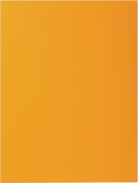 Immagine prodotto Exacompta Scrapbook - Copertine di file (A4, 10 x)