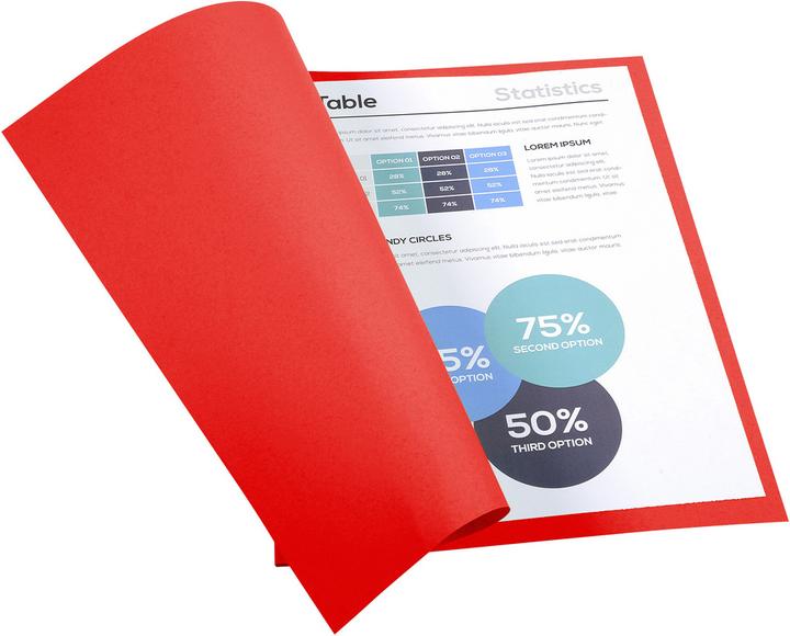 Produktbild Exacompta Sammelmappen - Aktendeckel (A4, 100 x)