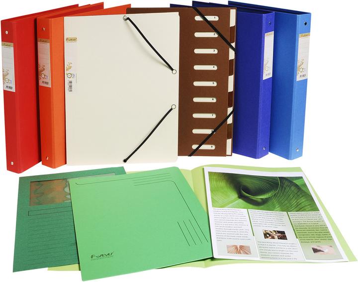 Produktbild Exacompta Sammelmappen - Aktendeckel (24 x 32 cm, 100 x)