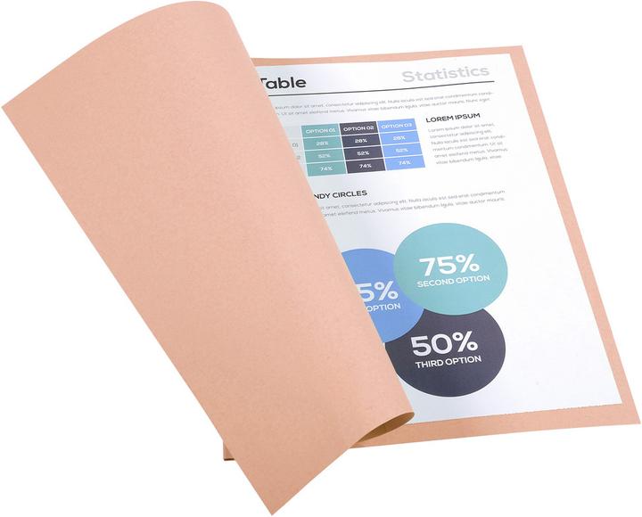 Produktbild Exacompta Aktendeckel (A4, 1 x)