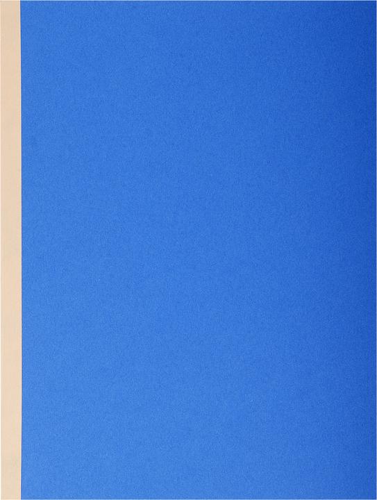 Produktbild Exacompta Sammelmappen - Aktendeckel (A4, 10x)