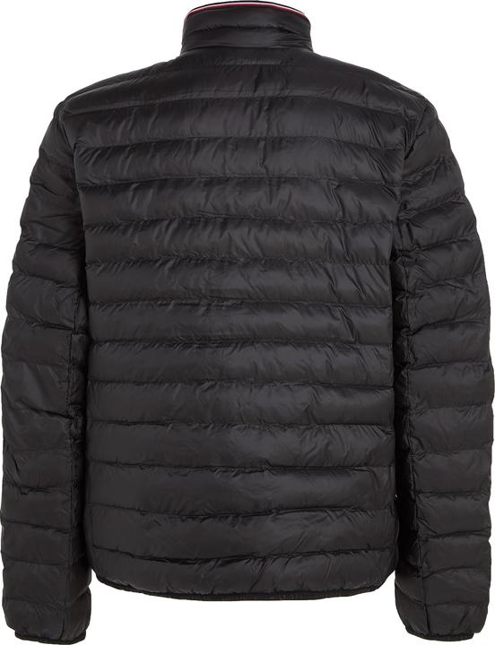 Actual product image Tommy Hilfiger Circular (XL)
