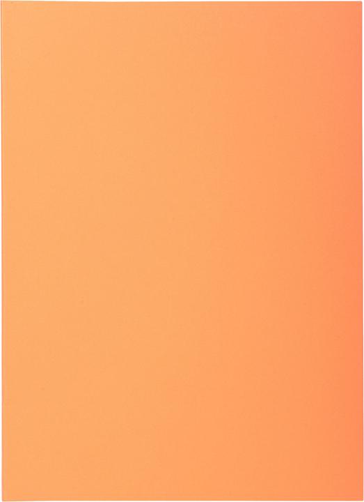 Produktbild Exacompta Sammelmappen - Aktendeckel (A4, 100 x)