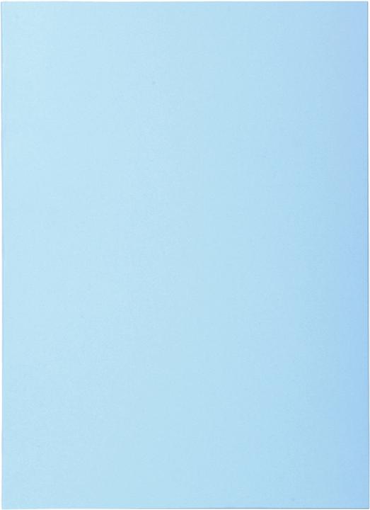 Actual product image Exacompta Collection folders - File covers (A4)