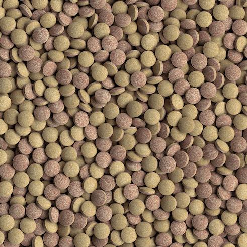 Actual product image Tetra TabiMin (Bottom-dwelling fish)