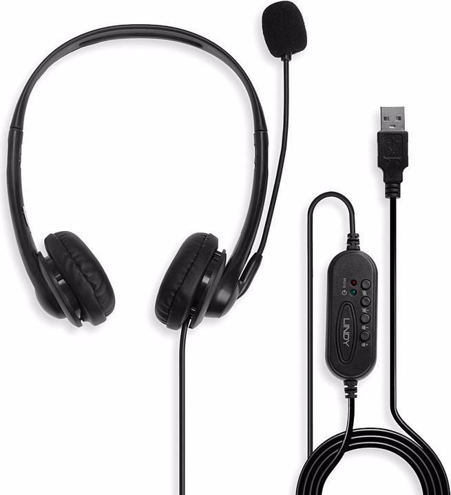 Image du produit Lindy 42870 (Filaire, USB-A)