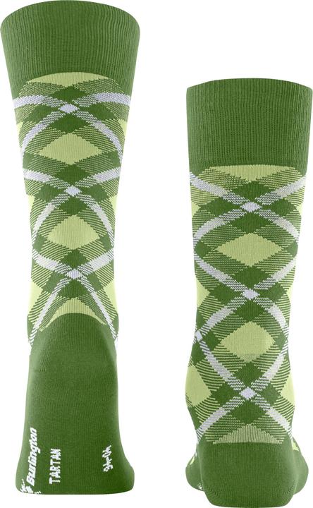 Actual product image Burlington Tartan SO (40 - 46)