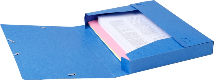 Actual product image Exacompta Archive boxes (A4)