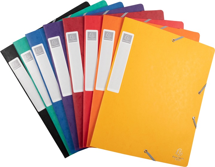 Actual product image Exacompta Archive boxes (A4)