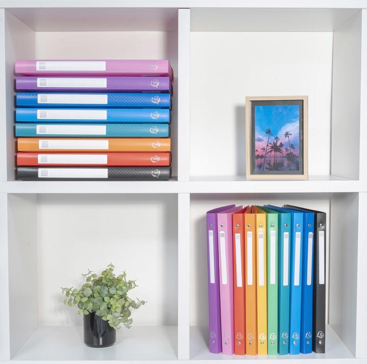 Immagine prodotto Exacompta Raccoglitori ad anelli (A4, 20 mm, 1 pz.)