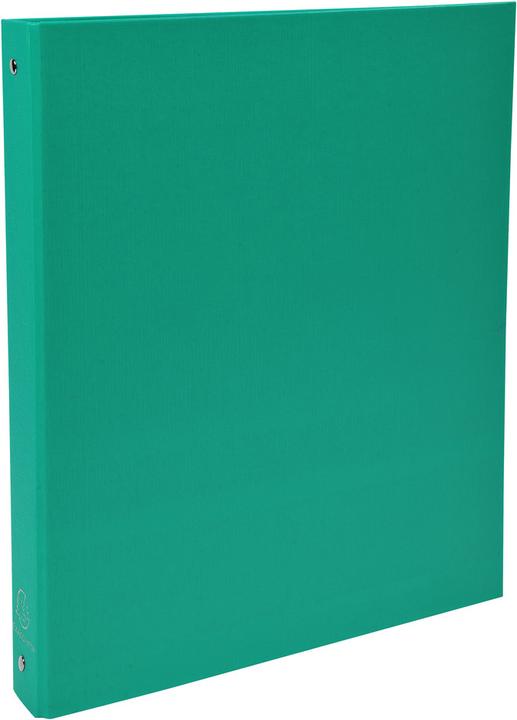 Actual product image Exacompta Ringbücher (A4, 40 mm, 160 Piece)