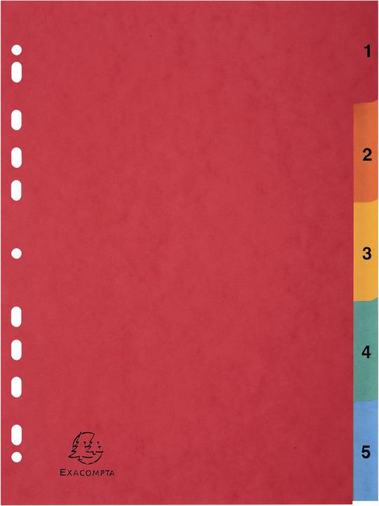 Couleurs de base assorties