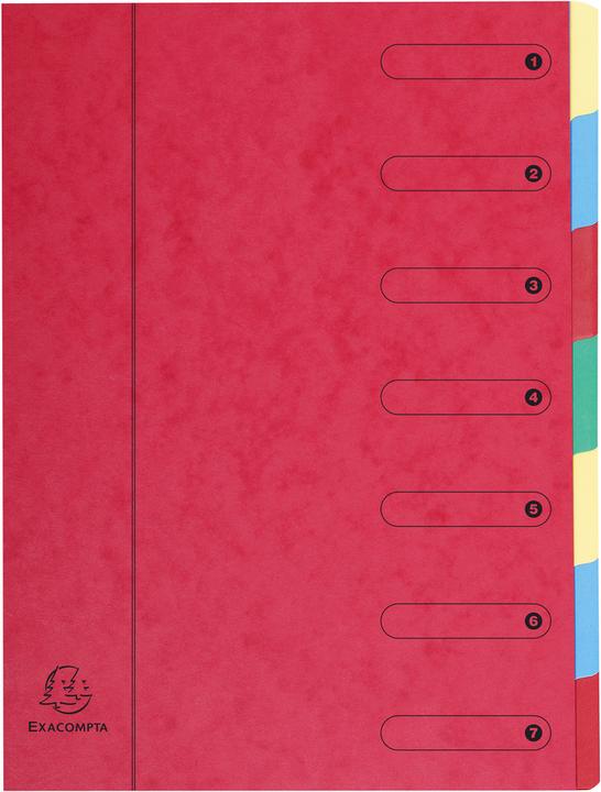 Image du produit Exacompta Fardes de classement avec dos à soufflets (A4, 80 x)