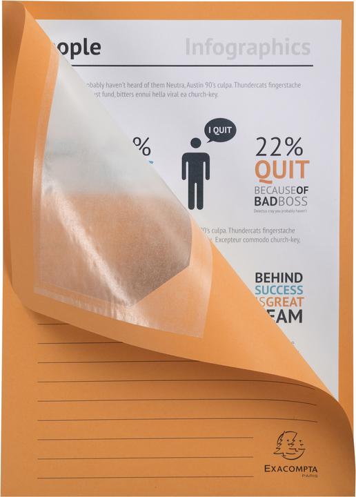 Actual product image Exacompta Collection folders - File covers (A4, 50 x)