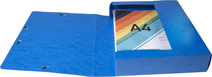 Actual product image Exacompta Archivboxen (25 x 33 cm)