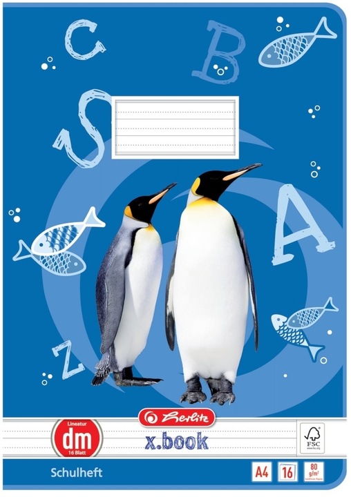 Produktbild Herlitz Schulheft x.book, DIN A4, Lineatur dm / liniert (A4, Gepunktet)