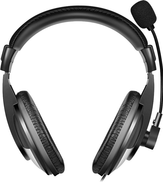 Image du produit LogiLink HS0019A (Filaire, USB-A)