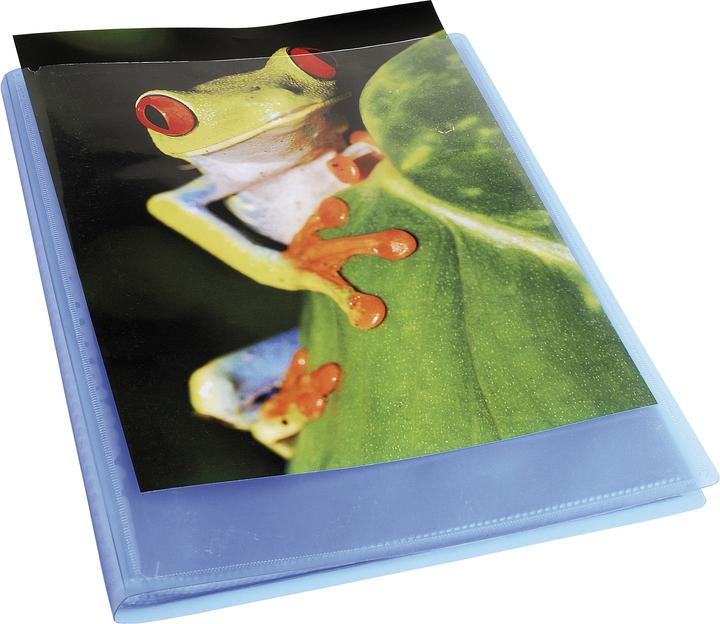 Image du produit Exacompta Dossiers de présentation (24 x 32 cm, 1x)