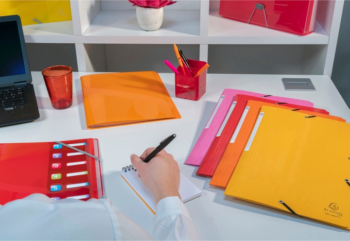 Actual product image Exacompta Display folders (A4, 200 x)
