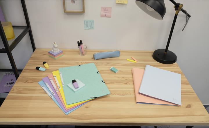 Produktbild Exacompta Sichtmappen (A4, 1x)