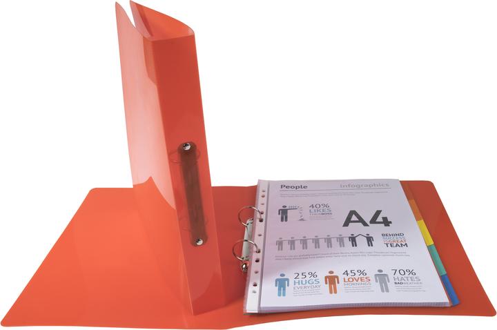 Actual product image Exacompta Ring binders (A4, 40 mm, 240 Piece)