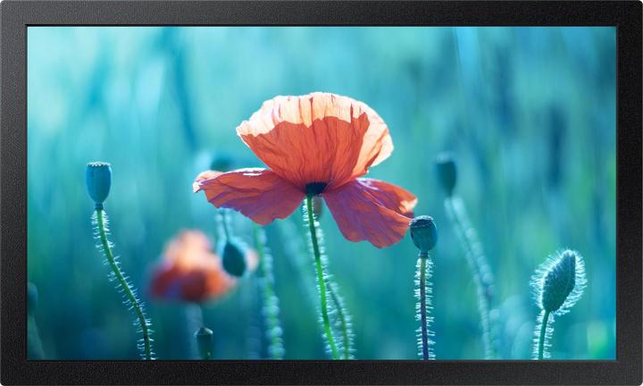 Samsung Smart Signage QB13R (1920 x 1080 pixels, 13")