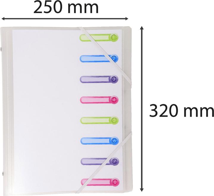 Actual product image Exacompta Stapled file folders (A4, 1 x)