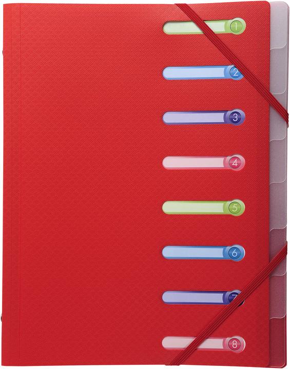 Actual product image Exacompta Stapled file folders (A4, 1 x)