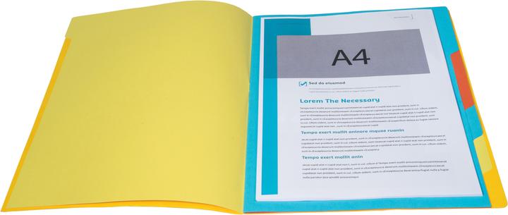 Actual product image Exacompta Stapled file folders (A4, 1x)