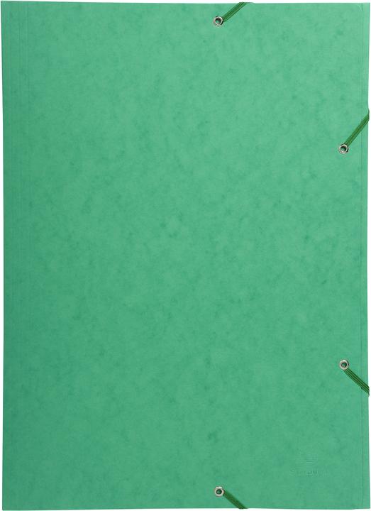 Actual product image Exacompta Folder (A3, 1 x)