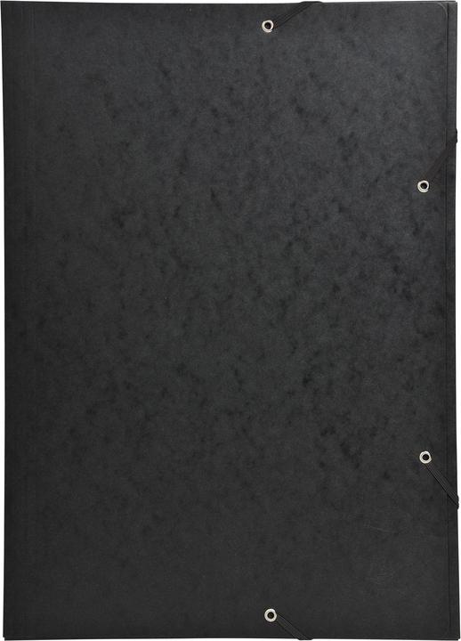 Actual product image Exacompta Folder (A3, 1 x)