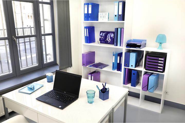 Actual product image Exacompta Fan folders (A4)
